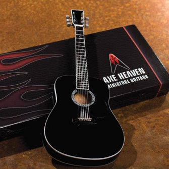 Acoustic Classic Black Finish Model