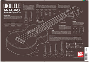 Ukulele Anatomy and Mechanics Wall Chart