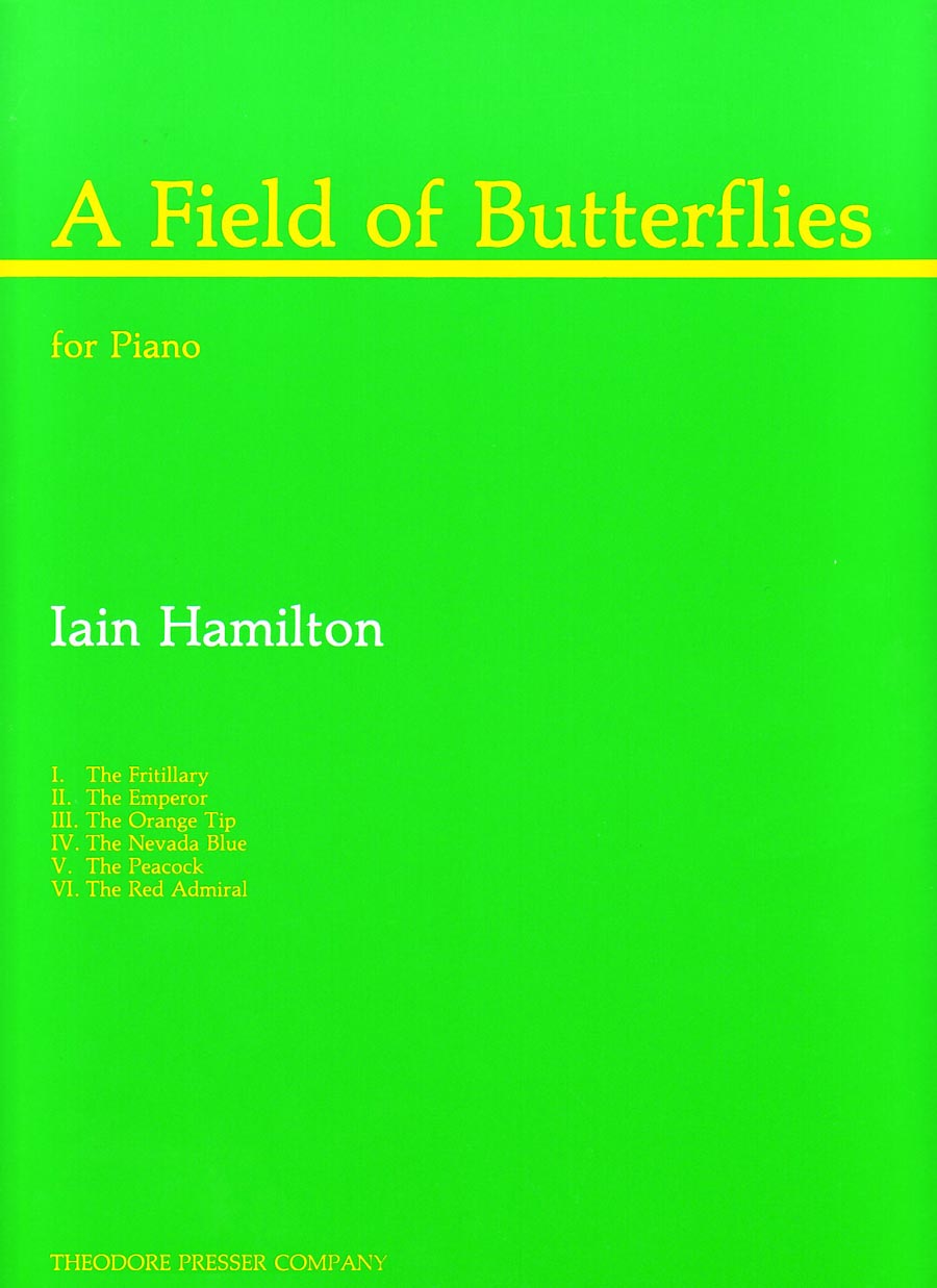 A Field Of Butterflies