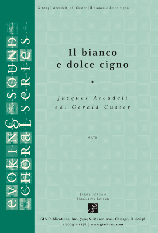 Il bianco e dolce cigno